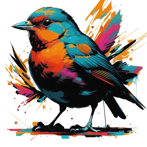 Robin bird image